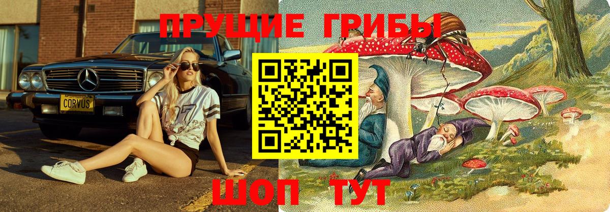 Воткинск  Псилоцибиновые грибы мицелий  Псилоцибиновые грибы Psilocybine cubensis  Вход с VPN 